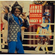JAMES BROWN - Living in america